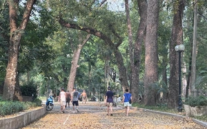 Miền Bắc chuẩn bị đ&oacute;n kh&ocirc;ng kh&iacute; lạnh- Ảnh 2.