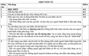 Đọc hiểu truyện ngắn, viết đoạn văn nghị luận văn học v&agrave; b&agrave;i văn nghị luận x&atilde; hội - Ảnh 2.