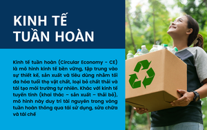Nghị quyết 79-NQ/TW n&acirc;ng cao hiệu quả kinh tế nh&agrave; nước trong nền kinh tế thị trường - Ảnh 5.