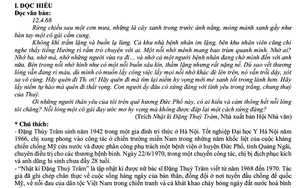 Đọc hiểu văn bản nghị luận, viết đoạn văn nghị luận x&atilde; hội v&agrave; b&agrave;i văn nghị luận văn học - Ảnh 6.