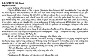 Đọc hiểu văn bản nghị luận, viết đoạn văn nghị luận x&atilde; hội v&agrave; b&agrave;i văn nghị luận văn học - Ảnh 4.