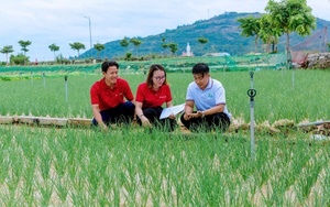 Agribank n&acirc;ng cao chất lượng nguồn nh&acirc;n lực đ&aacute;p ứng y&ecirc;u cầu ph&aacute;t triển giai đoạn mới- Ảnh 8.