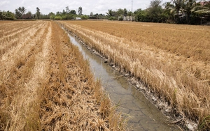 Từ &ldquo;si&ecirc;u El Ni&ntilde;o&rdquo; 2015-2016 đến nỗi lo El Ni&ntilde;o 2026 - Ảnh 2.