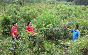 Agribank được vinh danh th&agrave;nh tựu t&aacute;c động v&igrave; Việt Nam số 2026 - Ảnh 3.