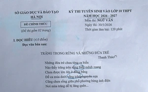 Một th&iacute; sinh vi phạm quy chế trong buổi thi Ngữ văn v&agrave;o lớp 10 H&agrave; Nội - Ảnh 2.