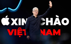 Trước John Ternus, Tim Cook đ&atilde; bắt đầu kỷ nguy&ecirc;n Apple của m&igrave;nh như thế n&agrave;o? - Ảnh 4.