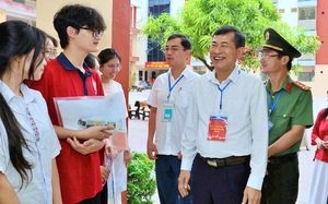 Cặp x&aacute; lị ở Nhạn Th&aacute;p ch&ocirc;n trong hộp v&agrave;ng r&ograve;ng l&agrave; vi&ecirc;n ngọc qu&yacute;  - Ảnh 10.