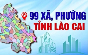 C&ocirc;ng an Th&agrave;nh phố Hồ Ch&iacute; Minh ph&aacute;t hiện nhiều trường hợp người nước ngo&agrave;i c&oacute; h&agrave;nh vi vi phạm ph&aacute;p luật - Ảnh 11.