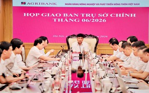 Lan tỏa d&ograve;ng vốn, mở rộng cơ hội ph&aacute;t triển v&ugrave;ng đồng b&agrave;o d&acirc;n tộc thiểu số- Ảnh 3.
