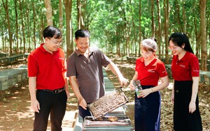 Nguồn vốn &ldquo;Tam n&ocirc;ng&rdquo; giữ m&agrave;u xanh tr&ecirc;n cao nguy&ecirc;n đất đỏ - Ảnh 3.