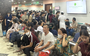 Th&agrave;nh phố Hồ Ch&iacute; Minh cập nhật dữ liệu sức khoẻ của 2.311.179 người - Ảnh 5.
