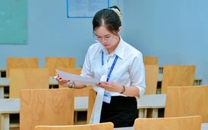 X&aacute;c định bậc nghề nghiệp của vị tr&iacute; việc l&agrave;m &aacute;p dụng cho gi&aacute;o vi&ecirc;n như thế n&agrave;o? - Ảnh 2.