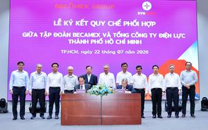 Tổng C&ocirc;ng ty Điện lực Th&agrave;nh phố Hồ Ch&iacute; Minh (EVNHCMC) nhận Hu&acirc;n chương Lao động hạng Ba - Ảnh 8.