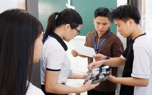 Kỳ vọng c&acirc;y dứa gi&uacute;p b&agrave; con tho&aacute;t ngh&egrave;o ở miền bi&ecirc;n viễn Nghệ An - Ảnh 1.