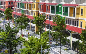 5 đại l&yacute; chiến lược đồng h&agrave;nh c&ugrave;ng dự &aacute;n T&T Homes Elite Rivera- Ảnh 5.