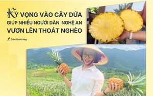 C&acirc;y đậu đũa cũng biết &ldquo;gọi cứu viện&rdquo; để ong ti&ecirc;u diệt s&acirc;u hại - Ảnh 4.