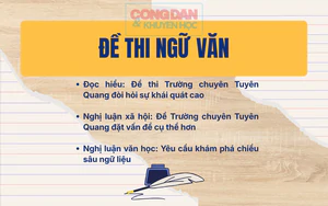Đề thi học sinh giỏi Ngữ văn: Phải chăng mỗi người đều cần c&oacute; những "mặt nạ x&atilde; hội" của ch&iacute;nh m&igrave;nh? - Ảnh 4.