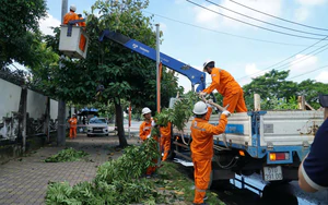 Quốc kh&aacute;nh 2/9: Nhiều địa điểm vui chơi miễn ph&iacute; ở H&agrave; Nội, c&oacute; nơi kh&ocirc;ng cần mua v&eacute;, kh&ocirc;ng cần đi &ocirc; t&ocirc; - Ảnh 4.