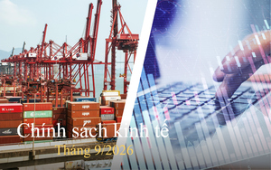 Những ch&iacute;nh s&aacute;ch nổi bật c&oacute; hiệu lực từ th&aacute;ng 9/2026 - Ảnh 3.