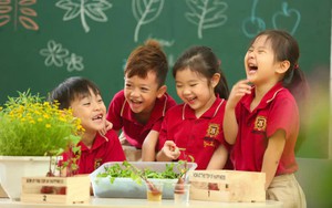 Quy định về điều kiện nhận hỗ trợ tiền tr&ocirc;ng trưa, nấu ăn cho trẻ mầm non - Ảnh 2.