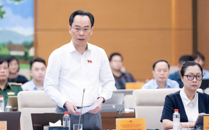 Kh&eacute;p lại chặng đường "lạm ph&aacute;t" điểm IELTS - Ảnh 3.