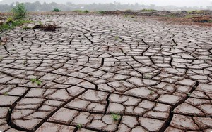 El Nino rất mạnh cuối năm: Những quy luật kh&iacute; hậu bị ph&aacute; vỡ - Ảnh 2.