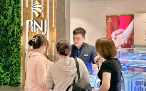 PNJ tiếp tục c&oacute; những biến động đ&aacute;ng ch&uacute; &yacute; trước ng&agrave;y diễn ra Đại hội đồng cổ đ&ocirc;ng - Ảnh 3.
