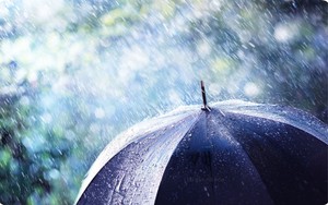 T&igrave;nh h&igrave;nh Bangkok sau khi ch&iacute;nh quyền th&ocirc;ng b&aacute;o thảm hoạ ng&agrave;y 26/9 - Ảnh 4.