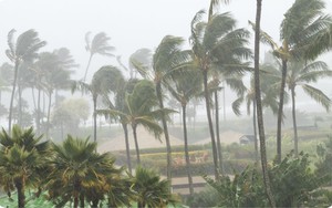 El Ni&ntilde;o v&agrave; kỷ lục m&ugrave;a b&atilde;o Th&aacute;i B&igrave;nh Dương năm 2026 - Ảnh 7.