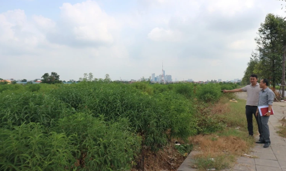 Xử lý việc hàng nghìn m2 đất nông nghiệp ở Hà Nội bị sử dụng truc tiep bong da hom nay mục đích - Ảnh 1.