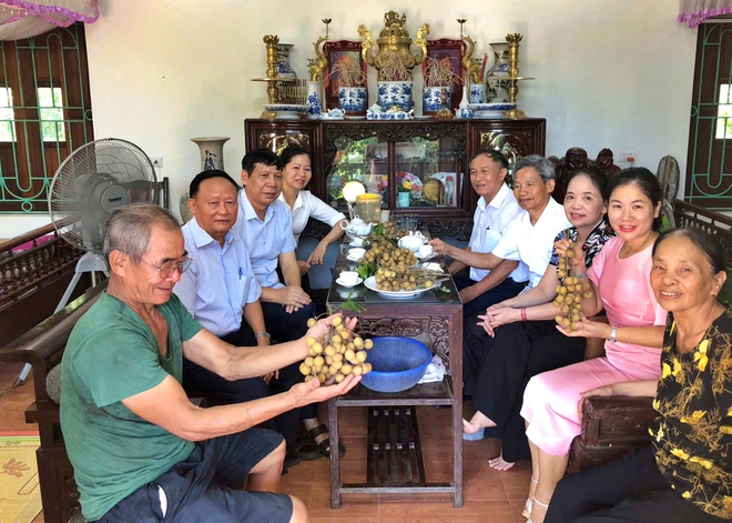 Tự học làm nông nghiệp - câu chuyện thoát nghèo từ vườn nhãn "cùi cổ" ở Tân Hưng - Ảnh 3.