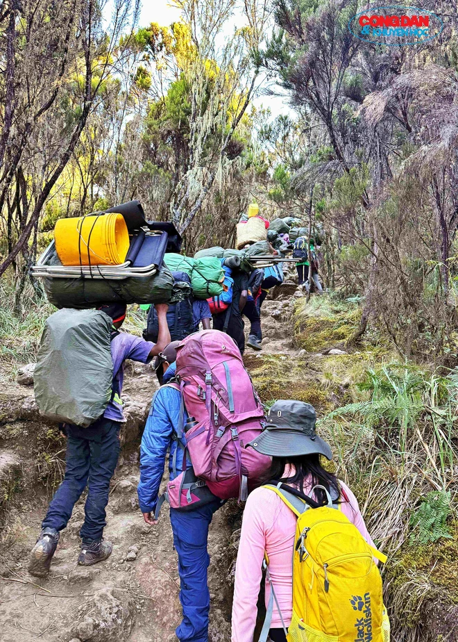 Đường lên đỉnh Kilimanjaro: Lời thì thầm từ "Nóc nhà châu Phi" - Ảnh 3.