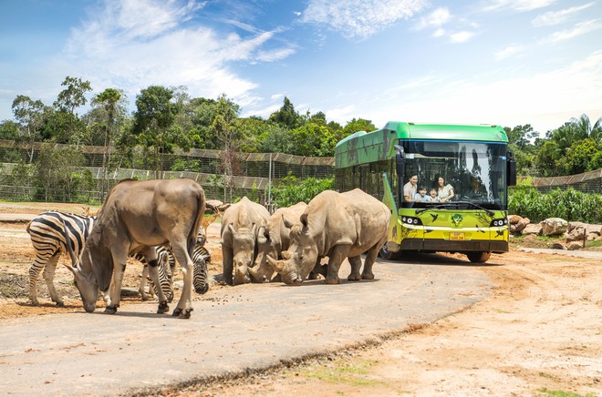 Thành quả từ những lần “chơi lớn khiến thế giới phải trầm trồ” của “kỳ quan” Vinpearl Safari Phú Quốc - Ảnh 8.