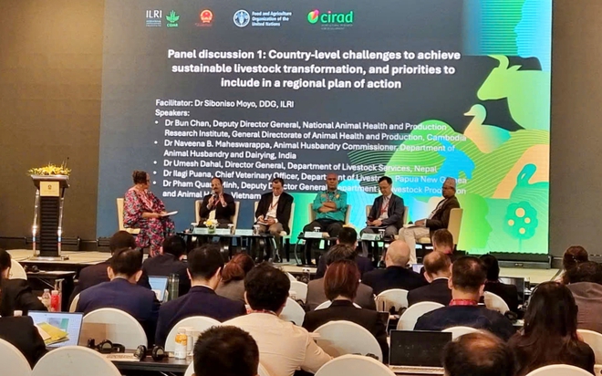 Chuyển đổi chăn nu&ocirc;i bền vững trong hệ thống lương thực thực phẩm ở ch&acirc;u &Aacute; - Th&aacute;i B&igrave;nh Dương - Ảnh 4.