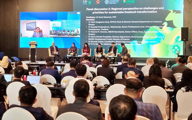 Chuyển đổi chăn nu&ocirc;i bền vững trong hệ thống lương thực thực phẩm ở ch&acirc;u &Aacute; - Th&aacute;i B&igrave;nh Dương - Ảnh 5.