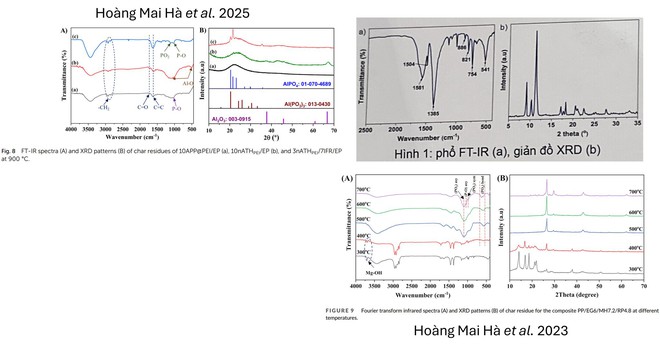Poster một dự &aacute;n đoạt giải Nhất Cuộc thi khoa học kỹ thuật cấp quốc gia 2026 giống hệt h&igrave;nh b&agrave;i b&aacute;o? - Ảnh 6.