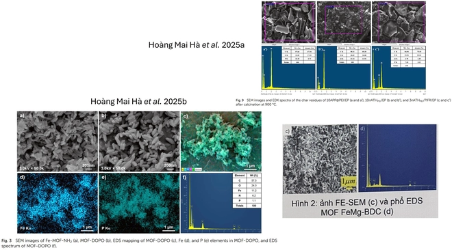 Poster một dự &aacute;n đoạt giải Nhất Cuộc thi khoa học kỹ thuật cấp quốc gia 2026 giống hệt h&igrave;nh b&agrave;i b&aacute;o? - Ảnh 7.