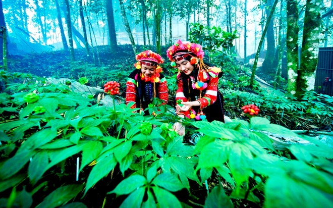 Lai Ch&acirc;u xanh ho&aacute; n&ocirc;ng nghiệp, ph&aacute;t triển dược liệu h&agrave;ng ho&aacute; - Ảnh 6.