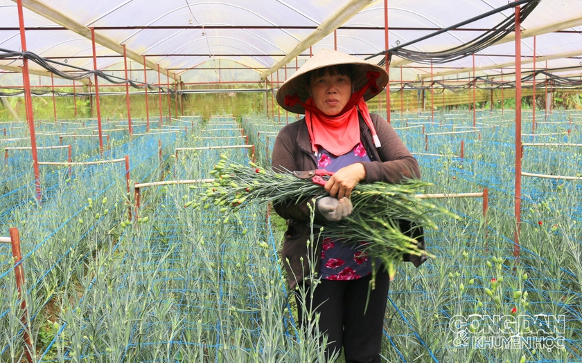 Festival hoa Đà Lạt 2022 có quy mô lớn nhất từ trước tới nay  - Ảnh 1.