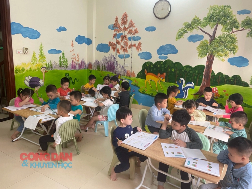 Thành phố Hồ Chí Minh chuẩn bị điều kiện thí điểm phổ cập mầm non cho trẻ 3, 4 tuổi - Ảnh 3.