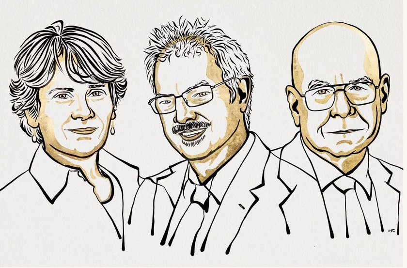 Giải Nobel Hóa học 2022 vinh danh 3 nhà khoa học Mỹ và Đan Mạch - Ảnh 1.