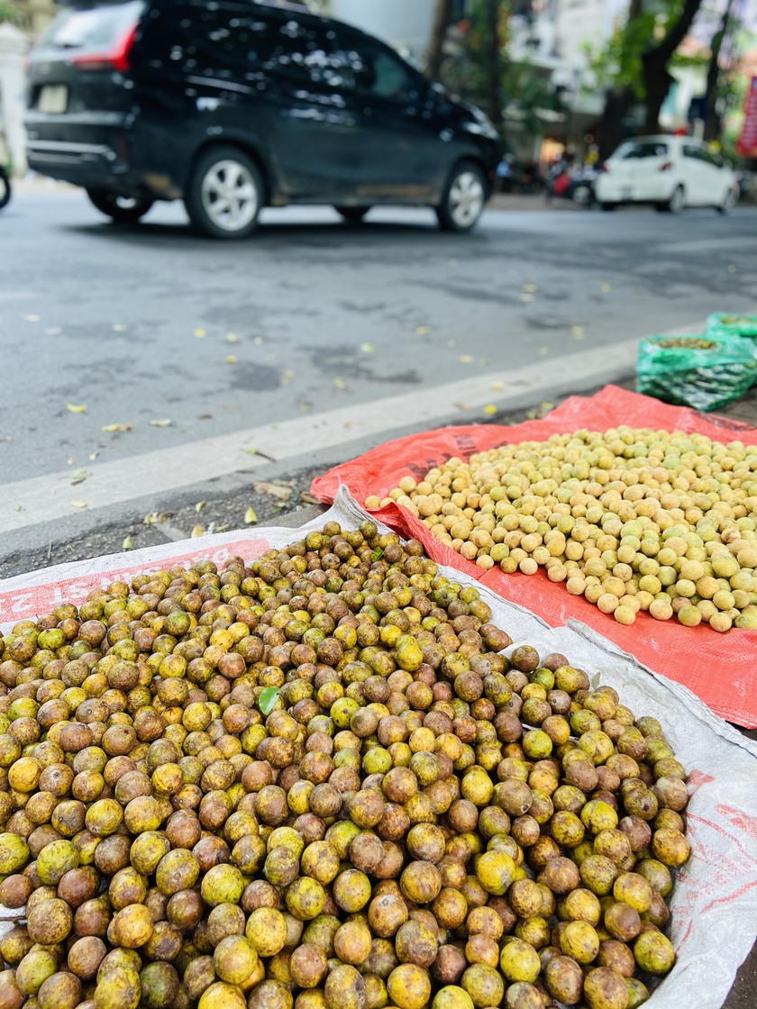 Hà Nội: ngắm phố Phan Đình Phùng những ngày...&quot;thất thủ&quot; - Ảnh 9.