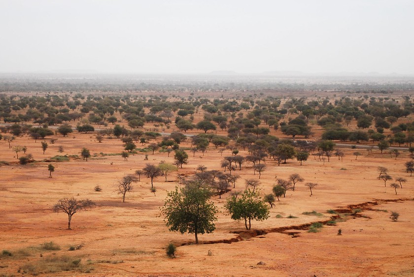 COP27: Thúc đẩy sáng kiến biến sa mạc thành năng lượng tại châu Phi - Ảnh 1.