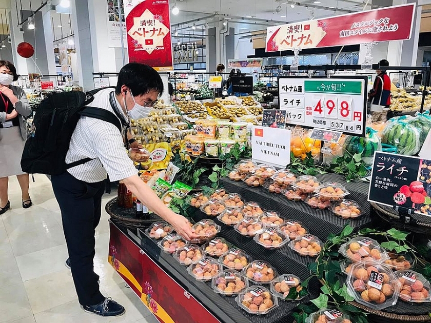 Xuất khẩu sang Nhật: bước tiếp dễ dàng ra thị trường thế giới - Ảnh 1.