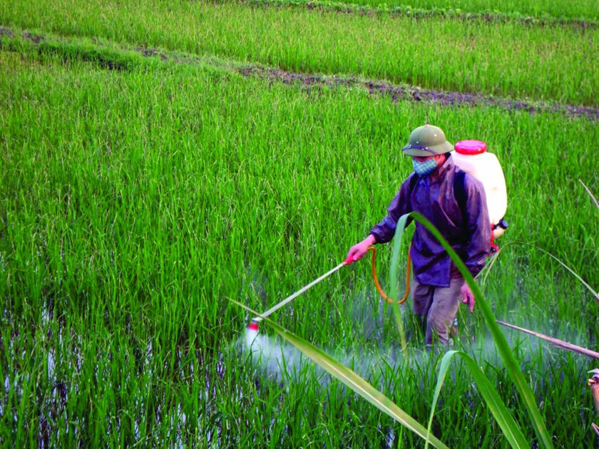 Các loại thuốc bảo vệ thực vật được phép sử dụng tại Việt Nam - Ảnh 1.