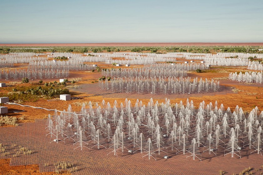 Australia &quot;trồng&quot; 130.000 anten hình cây thông Giáng sinh - Ảnh 1.