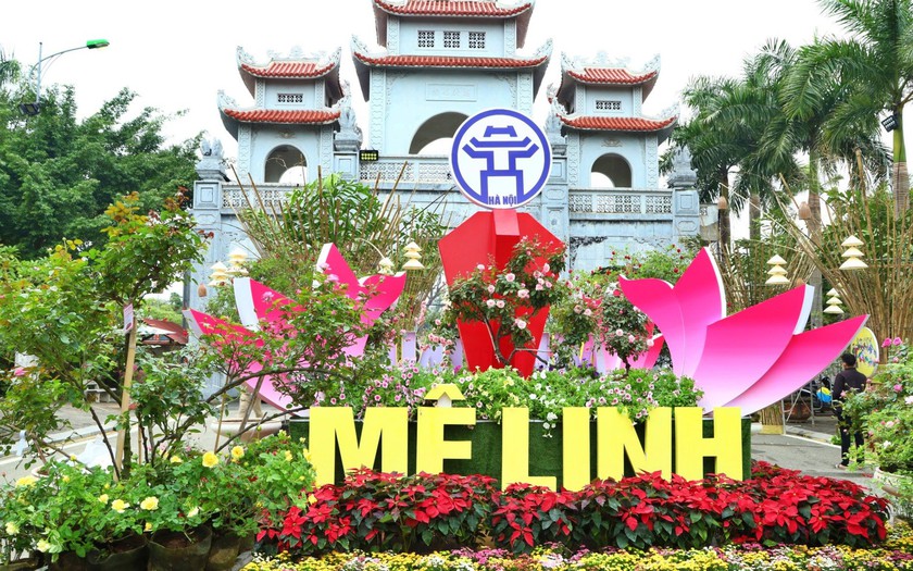 Huyện Mê Linh đón nhận đạt chuẩn nông thôn mới - Ảnh 3.