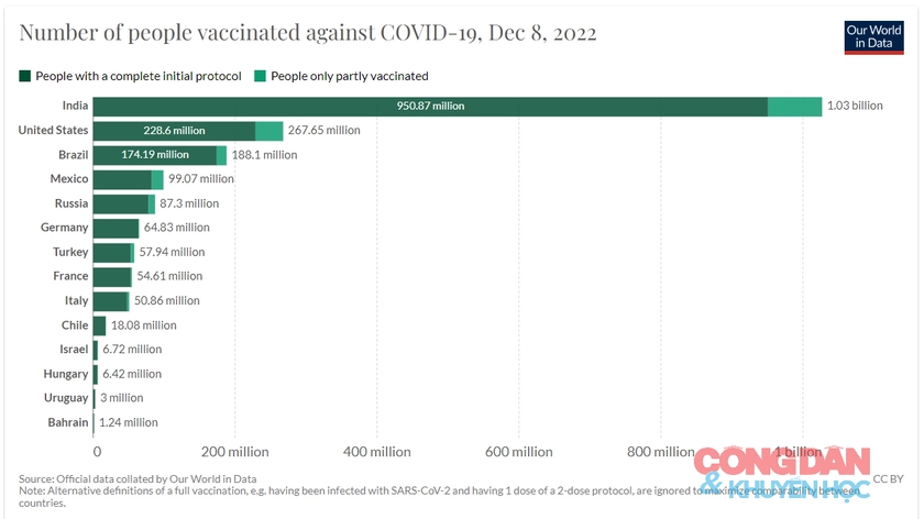 Sau 3 năm COVID-19 bùng phát tại Trung Quốc, thế giới đã có gần 6,7 triệu người tử vong do đại dịch - Ảnh 8.