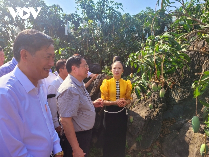 Thủ tướng Phạm Minh Chính đối thoại với nông dân Việt Nam: 1.600 câu hỏi, đề xuất, kiến nghị gửi đến Thủ tướng - Ảnh 3.