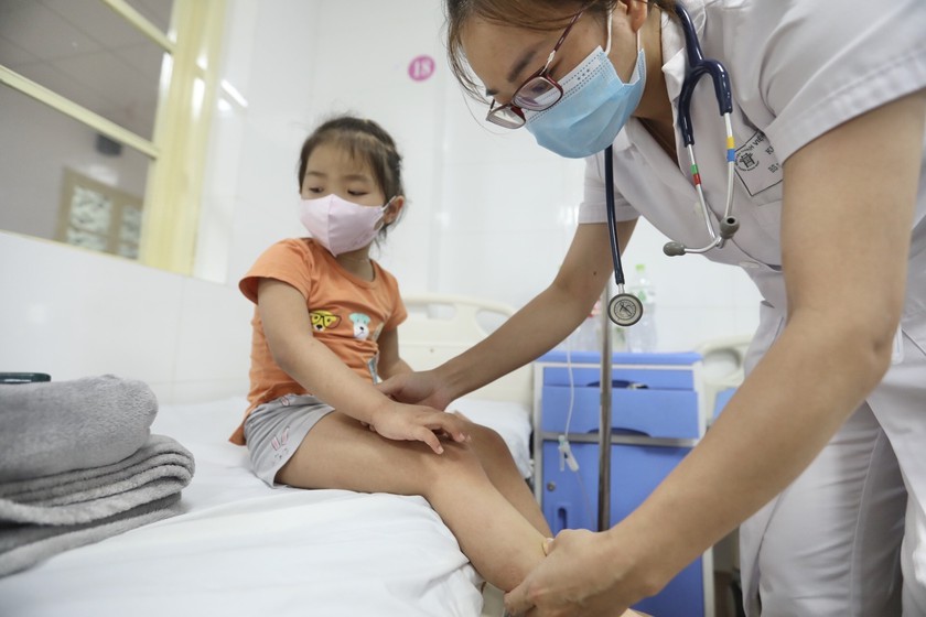 Thành phố Hồ Chí Minh ghi nhận 9 trường hợp tử vong do sốt xuất huyết - Ảnh 1.